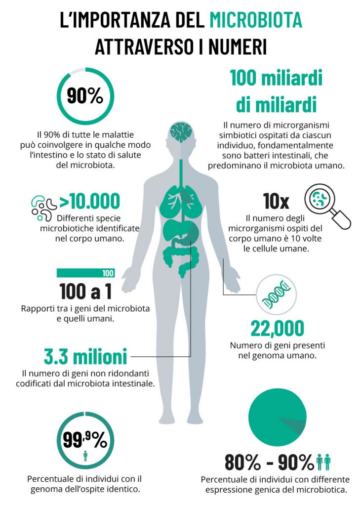 L’importanza del microbiota intestinale | Entero 4